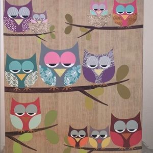 Owl canvas
